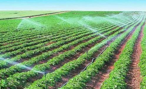 操几把免费视频网站农田高 效节水灌溉